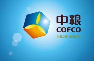 厉害了！猛砸1217亿，20个央企落户天津，未来这几个区要逆天了，有你家么