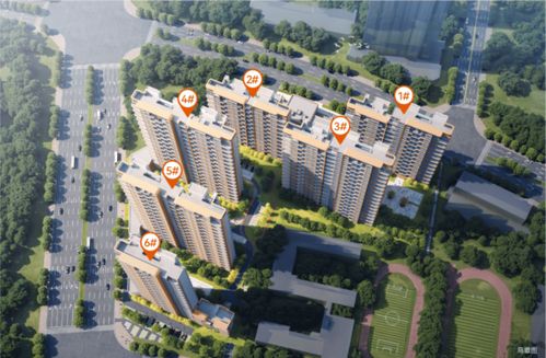 龙腾铂悦学府 都市花园洋房的品质标杆
